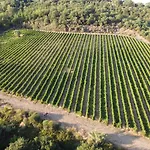 Pilari Intera Farma *