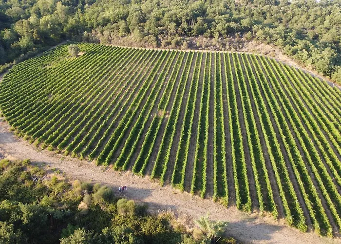 Pilari Intera 农家乐 *