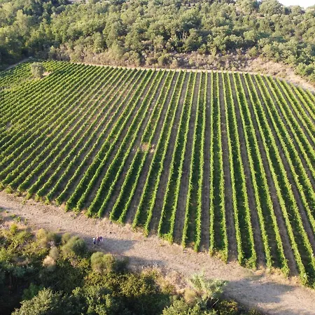 Pilari Intera Фермерский дом *